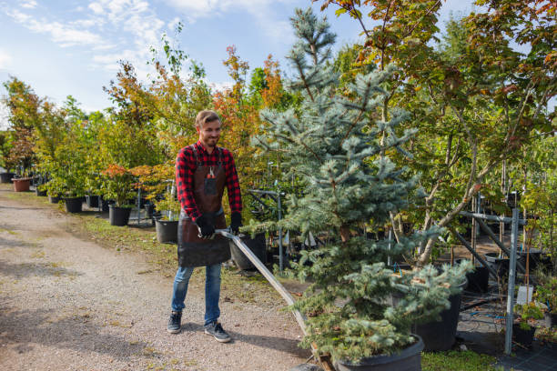 Best Commercial Tree Services  in Pinehurst, TX